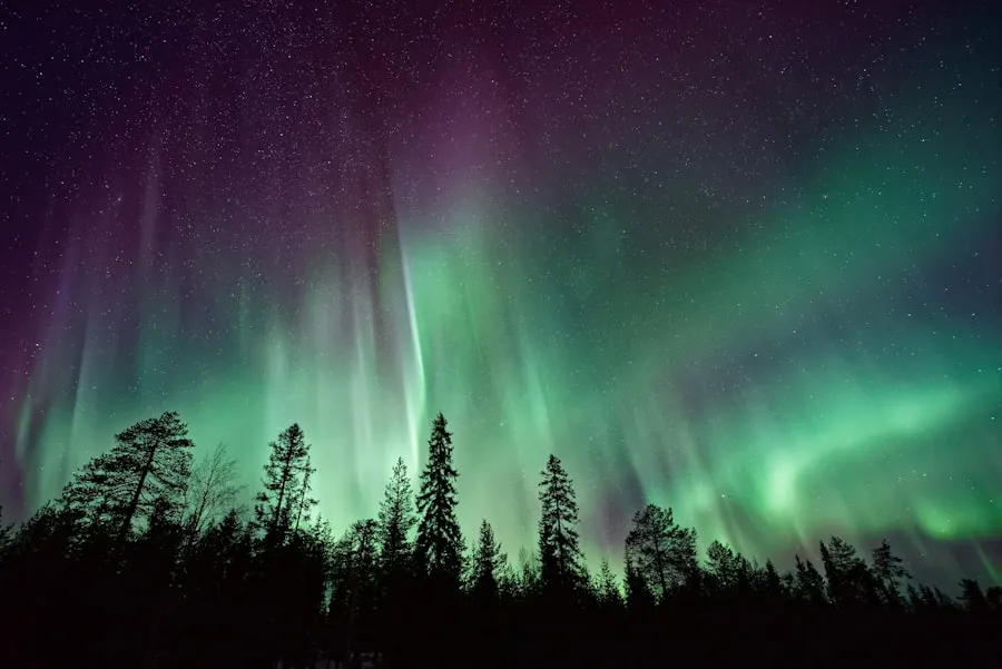 Aurora boreal sobre el bosque nevado de Finlandia
